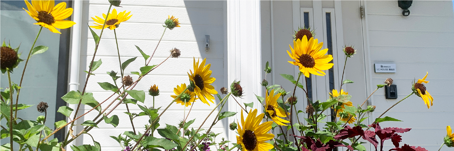 LC HOUSE菅仙谷イメージ02